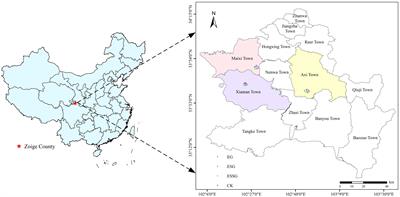 Soil quality and ecological benefits assessment of alpine desertified grassland following different ecological restoration measures